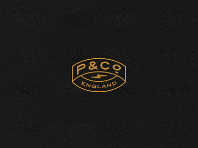 Primary P&Co Logo branding branding element design illustration logo system pco