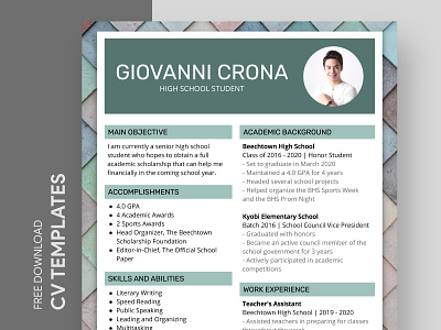 CV For Scholarship Free Google Docs Template