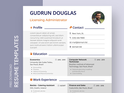 System Admin Resume Free Google Docs Template