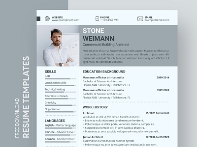 Architect Resume Free Google Docs Template