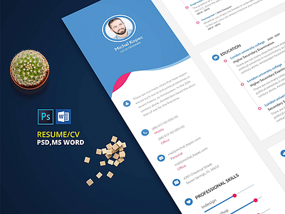 Web Designer CV Free Google Docs Template