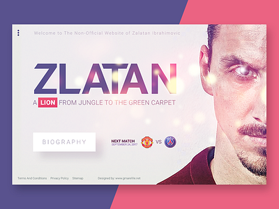 Zlatan Ibrahimovic Landing Page