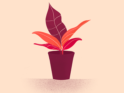 Day 2: Draw a plant. 28 to make illustration ipad plant procreate