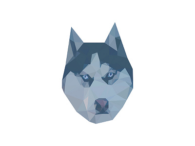 Geometric husky design geometric geometric drawing husky vector