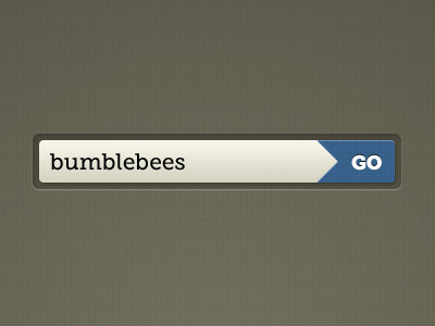 Bumblebees search