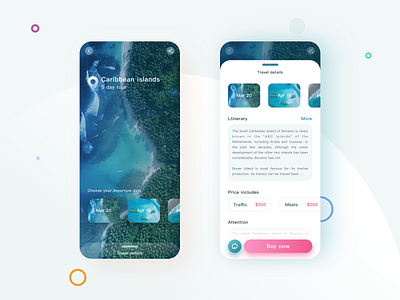 Travel APP interface ui ux