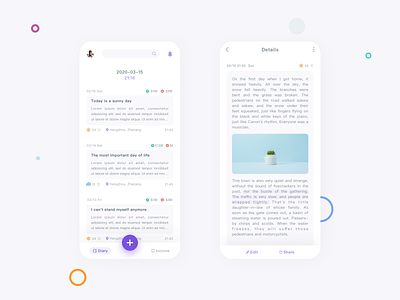 Diary&Details interface ui ux