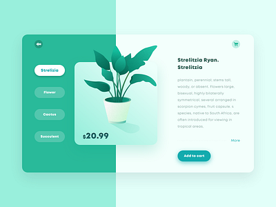 Green plant trading website design illustration interface ui