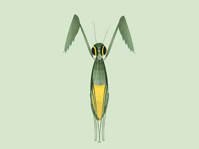 Y alphabet animal character happy illustration mantis mexico photoshop sticker