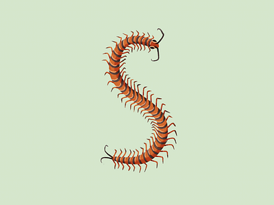 S animal centipede character font happy illustration mexico oaxaca photoshop shoe skicker sticker