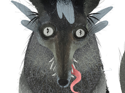 WOLF PILGRIM crow forest illustration mexico pilgrim saint savage wolf