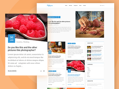 Puffinpress Blogging PSD Template.