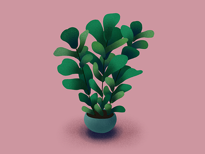 Plnat digital art digitalart drawing illustration pixel art plant plant illustration procreate procreate app procreate art sketch