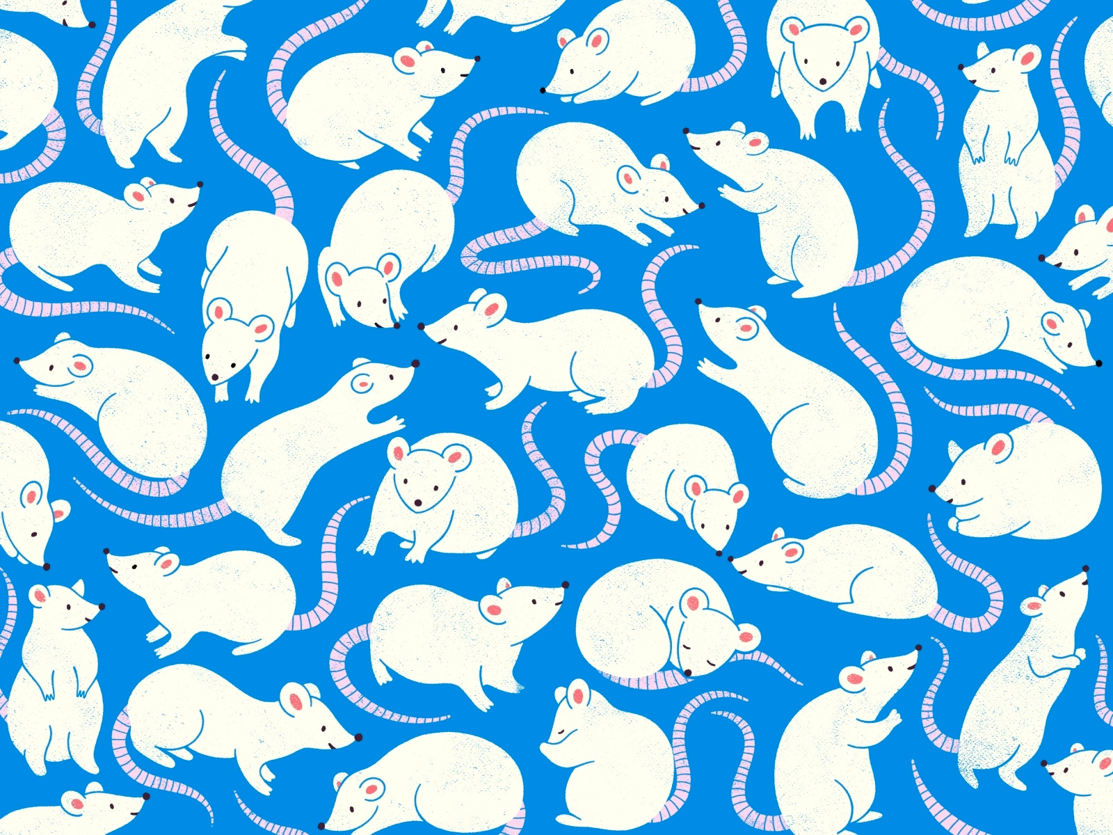 Aw Rats! by Gillian Levine on Dribbble