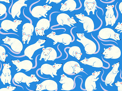 Aw Rats! animal cute illustration pattern pattern design procreate texture