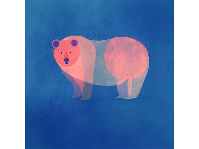 Grizzly Bear bear blue digital digital illustration grizzly bear nature photoshop pink