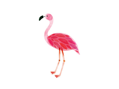 Flamingo bird digital digital painting flamingo painting pink tropical