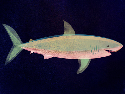 Sharky digital illustration great white shark illustration shark
