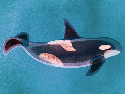 Orca