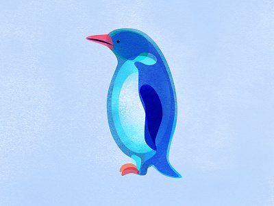 Penguin antarctica bird digital illustration digital painting ice illustration penguin snow
