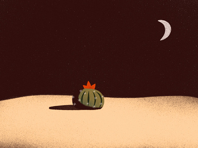 Tiny Desert cactus desert digitalpainting illustration moon night shadow sky starry