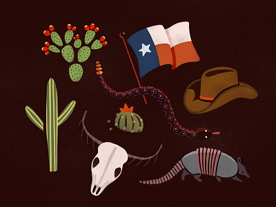 Desert Illustrations armadillo cactus cowboy desert lone star longhorn prickly pear rattlesnake skull snake southwest texas