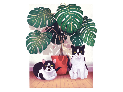 Kitties cat cats illustration kitties plant procreate