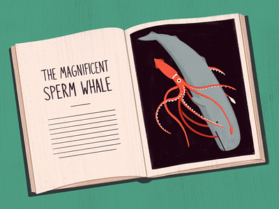 Deep Sea Battle book cute giant squid illustration ocean procreate sperm whale squid squid and whale whale