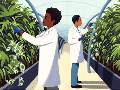 Greenhouse editorial illustration farm farming greenhouse illustration marijuana money plants procreate research scientists
