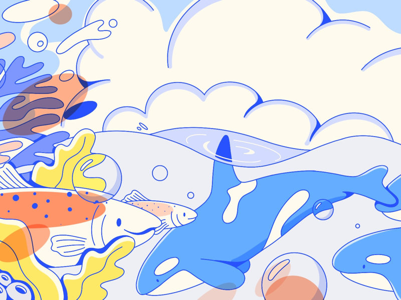 Puget Sound by Gillian Levine on Dribbble