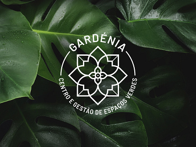 Gardénia - Gardening services