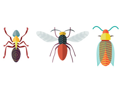 Bugs bugs color illustration pattern vector