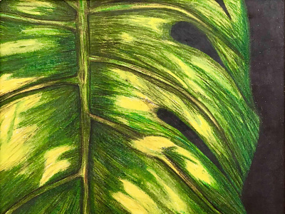 Leafy Green abstract art close up design green illustration leaf nature