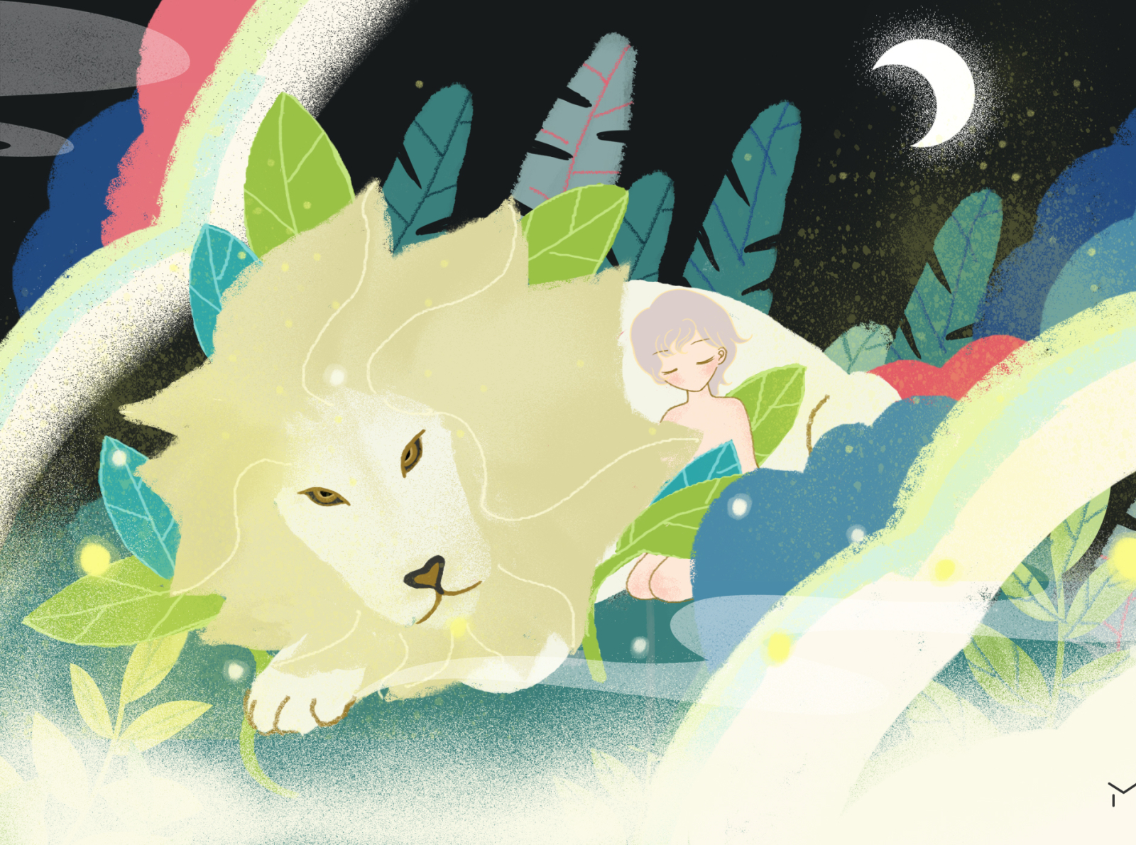lion & junior story 2 illustration illustrations