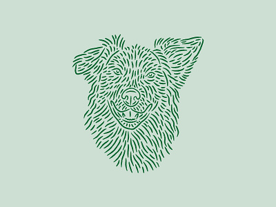 Baxter animal baxter dog illustration lines linework pet pup puppy