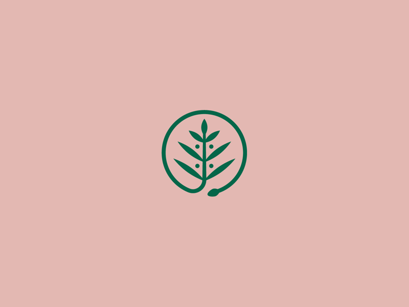 Garden Snake by Zac Jacobson on Dribbble