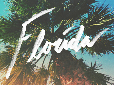 Florida florida hand lettering handmade lettering palm tree typography