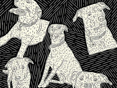 Charlotte char charlotte dog illustration