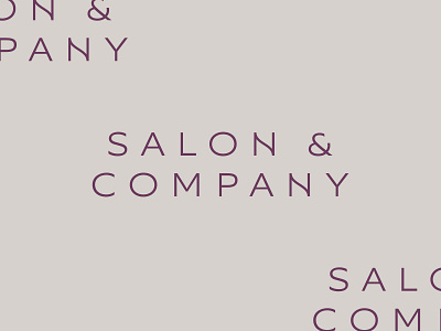 Salon & Company company lettering salon type typography