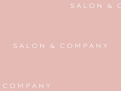 Salon & Company lettering logo logotype type typography