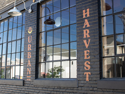 Urban Harvest Brewing Company Branding brewery harvest logo typography urban