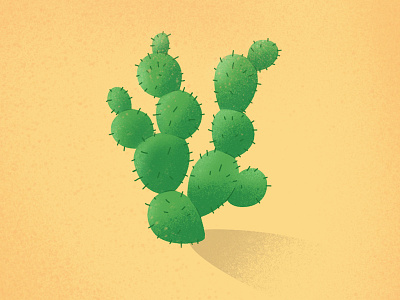 The Cactus in the desert cactus desert design graphic design hot plant shading