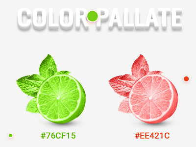 Color Palette ai clean color design palette photoshop ui