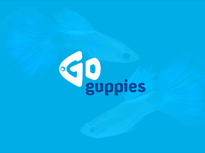 Go Guppies fish guppies guppy water