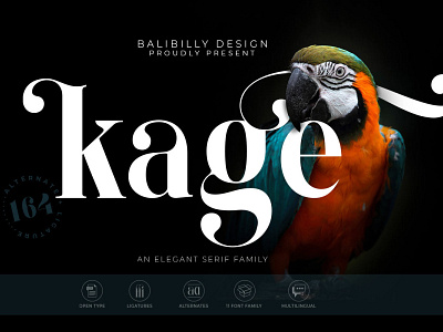 Free Kage Serif Font