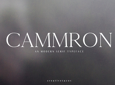 Cammron Serif Font Family art clean creative design font illustration instagram logo modern photo