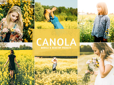 Free Canola Mobile & Desktop Lightroom Presets beautiful blog blogger blogger presets cinematic color colorful exclusive film insta instagram landscape lifestyle lightroom mobile lightroom preset mobile mobile lightroom mobile presets portrait premium