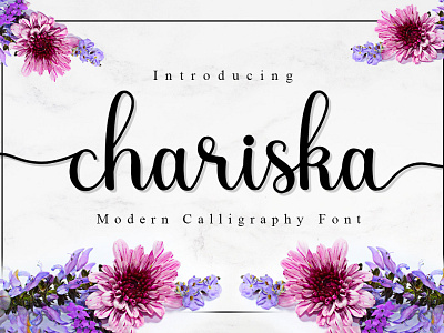 Free Chariska Calligraphy Font bouncy calligraphy clean contemporary cool elegant fancy fonts fun hand drawn hand lettering handdrawn marker pen notebook playful retro sans script typography vintage