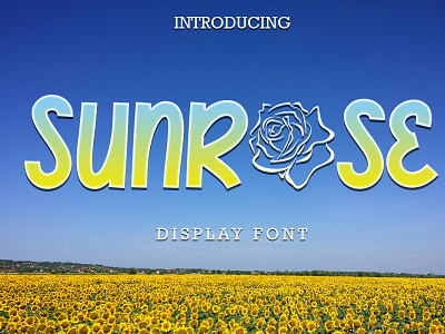 Sunrose Display Font creative font photography