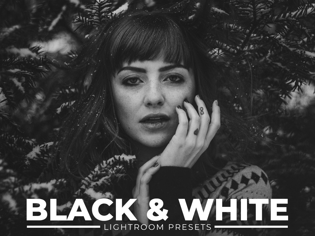 Creativemarket Black & White Lightroom Presets Download Free